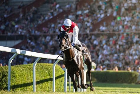 what does each way mean in grand national|Grand National Each Way Betting Guide & Extra Places for 2024 .